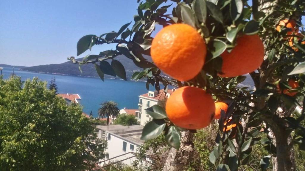 House Orange Apartments Herceg Novi Buitenkant foto