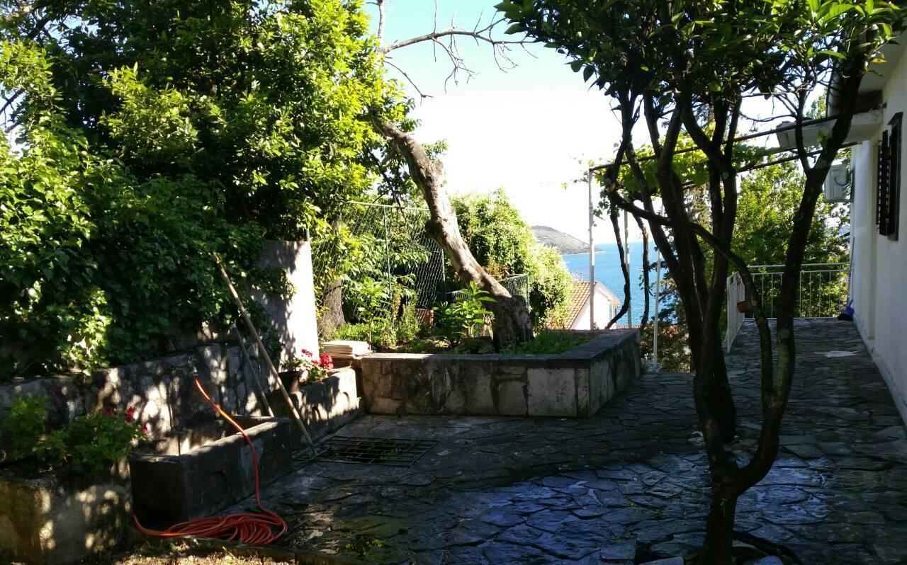 House Orange Apartments Herceg Novi Buitenkant foto